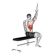Back exercises