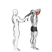 Upper Arms exercises