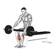 Barbell Seated Calf Raise