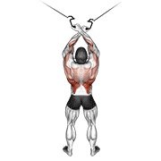 Cable Cross-Over Lateral Pulldown