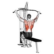 Cable Pulldown (pro Lat Bar)