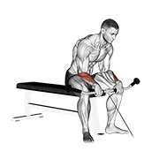 Cable Reverse Wrist Curl