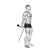 Cable Standing Back Wrist Curl