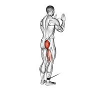 Cable Standing Hip Extension