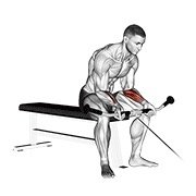 Cable Wrist Curl