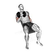 Dumbbell Incline Curl