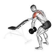 Dumbbell One Arm Reverse Fly (with Support)