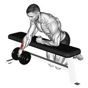 Dumbbell Over Bench One Arm Wrist Curl