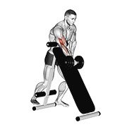 Dumbbell Standing One Arm Curl (over Incline Bench)