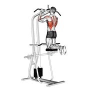 Lever Assisted Chin-Up