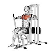 Lever Chest Press