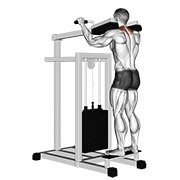 Lever Gripless Shrug