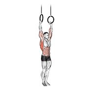 Muscle Up