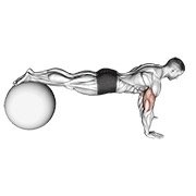 Push-Up (on Stability Ball)