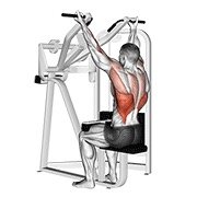 Reverse Grip Machine Lat Pulldown