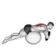 Weighted Hyperextension (on Stability Ball)