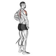 Shoulders exercises