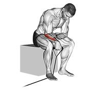 Lower Arms exercises