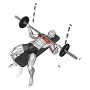 Barbell Wide Reverse Grip Bench Press