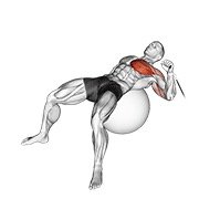 Cable One Arm Press On Exercise Ball