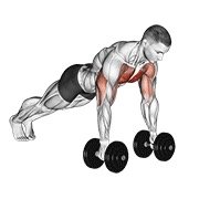Dumbbell exercises