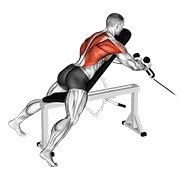 Cable Rope Extension Incline Bench Row
