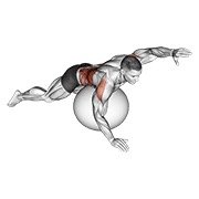 Exercise Ball Alternating Arm Ups
