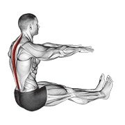 Spine Stretch