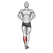 Lower Legs exercises