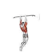 Muscle-Up (on Vertical Bar)