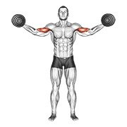 Dumbbell High Curl