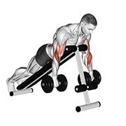 Dumbbell Reverse Spider Curl