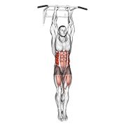 Hanging Oblique Knee Raise