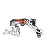 Roller Back Stretch