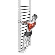 Bodyweight Standing Close-Grip Row