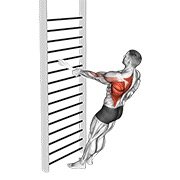 Bodyweight Standing One Arm Row (with Towel)