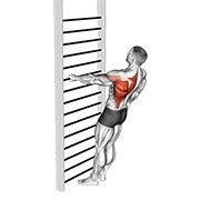 Bodyweight Standing One Arm Row