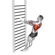 Bodyweight Standing Row (with Towel)