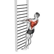 Bodyweight Standing Row