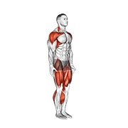 Cardio exercises