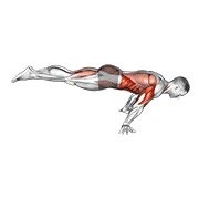 Full Planche Push-Up