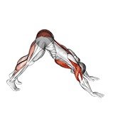 Pike-To-Cobra Push-Up