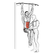 Assisted Hanging Knee Raise With Throw Down exercise animation