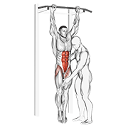 Assisted Hanging Knee Raise exercise animation
