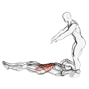 Assisted Lying Leg Raise With Throw Down form demonstration - targeted for Abs Waist workouts