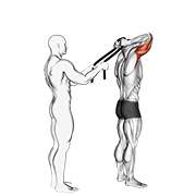 Assisted Standing Triceps Extension (with Towel) form demonstration - targeted for Triceps Upper Arms workouts