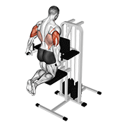 Assisted Triceps Dip (kneeling) exercise animation