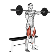Barbell Bench Front Squat exercise animation