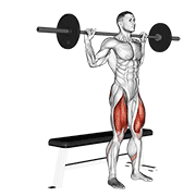 Barbell Bench Squat exercise animation