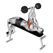Barbell Decline Close Grip To Skull Press form demonstration - targeted for Triceps Upper Arms workouts